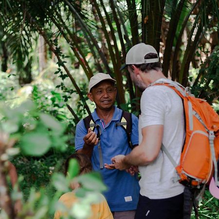 Ambow Homestay Jungle Trekking & Village Tour Bukit Lawang Kültér fotó