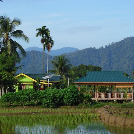 Ambow Homestay Jungle Trekking & Village Tour Bukit Lawang Kültér fotó