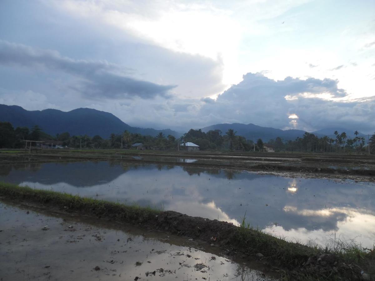 Ambow Homestay Jungle Trekking & Village Tour Bukit Lawang Kültér fotó