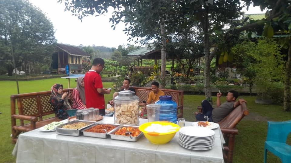 Ambow Homestay Jungle Trekking & Village Tour Bukit Lawang Kültér fotó
