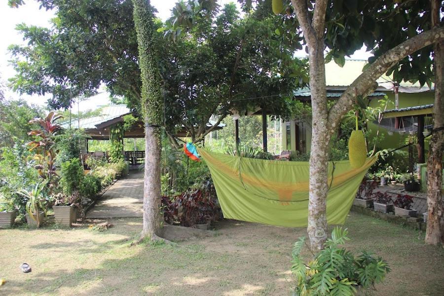 Ambow Homestay Jungle Trekking & Village Tour Bukit Lawang Kültér fotó