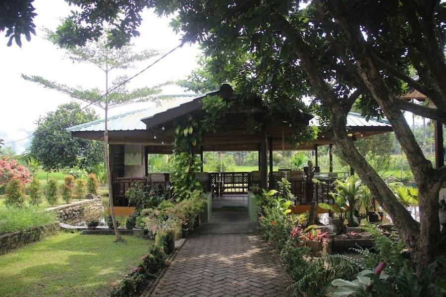 Ambow Homestay Jungle Trekking & Village Tour Bukit Lawang Kültér fotó