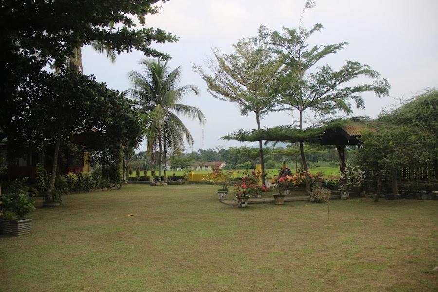 Ambow Homestay Jungle Trekking & Village Tour Bukit Lawang Kültér fotó