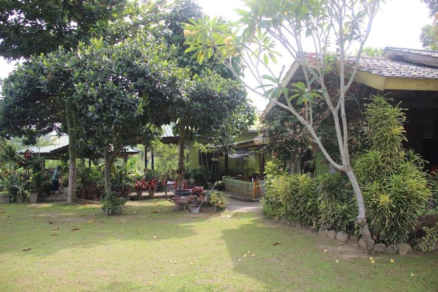 Ambow Homestay Jungle Trekking & Village Tour Bukit Lawang Kültér fotó