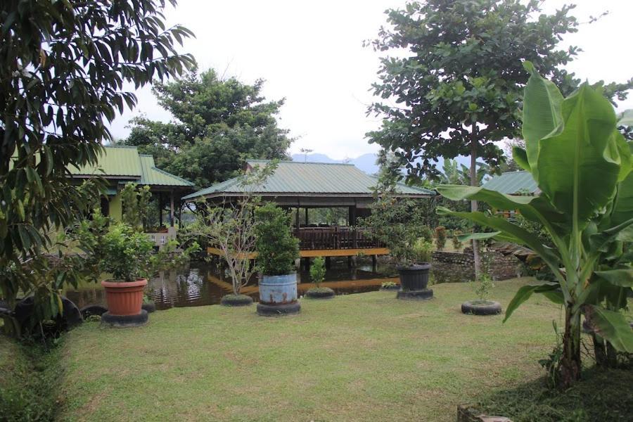 Ambow Homestay Jungle Trekking & Village Tour Bukit Lawang Kültér fotó