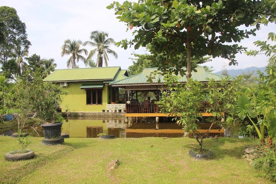 Ambow Homestay Jungle Trekking & Village Tour Bukit Lawang Kültér fotó