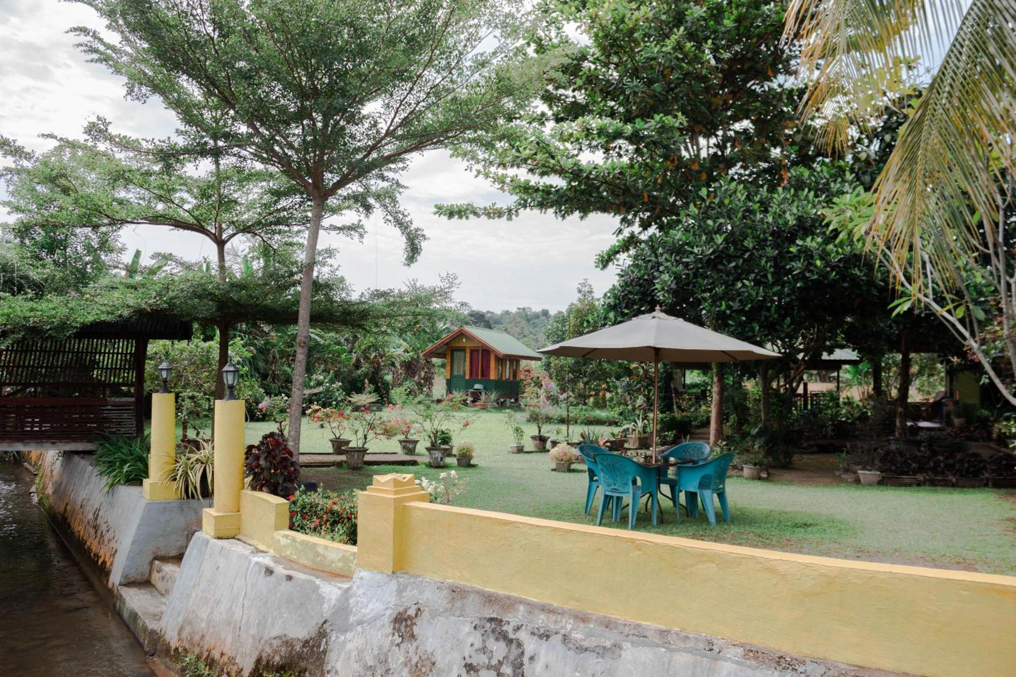 Ambow Homestay Jungle Trekking & Village Tour Bukit Lawang Kültér fotó