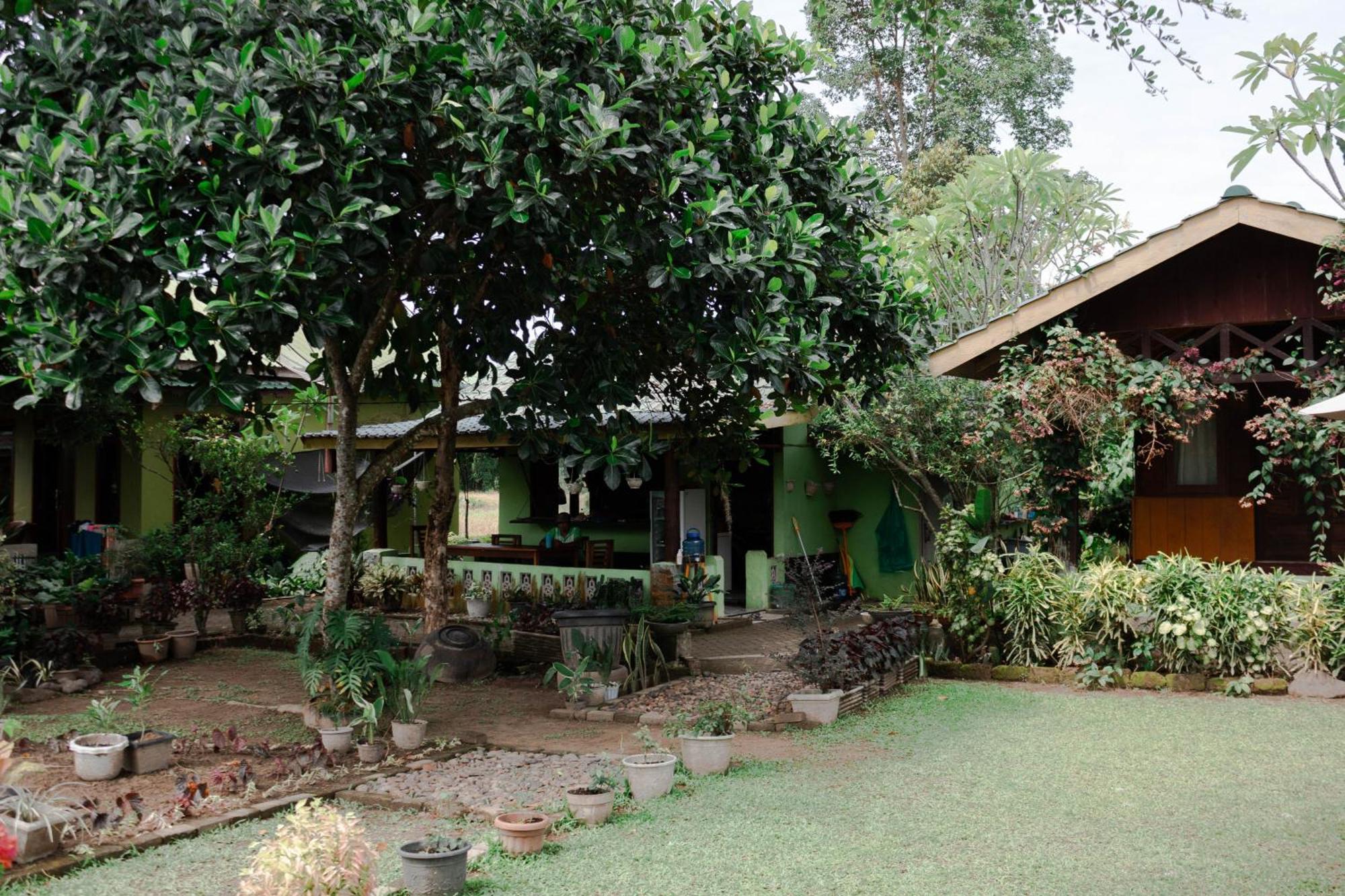 Ambow Homestay Jungle Trekking & Village Tour Bukit Lawang Kültér fotó