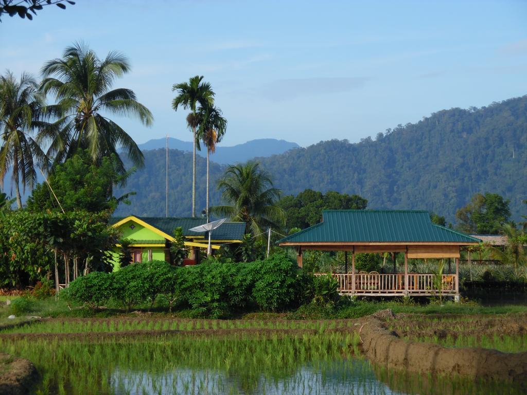 Ambow Homestay Jungle Trekking & Village Tour Bukit Lawang Kültér fotó