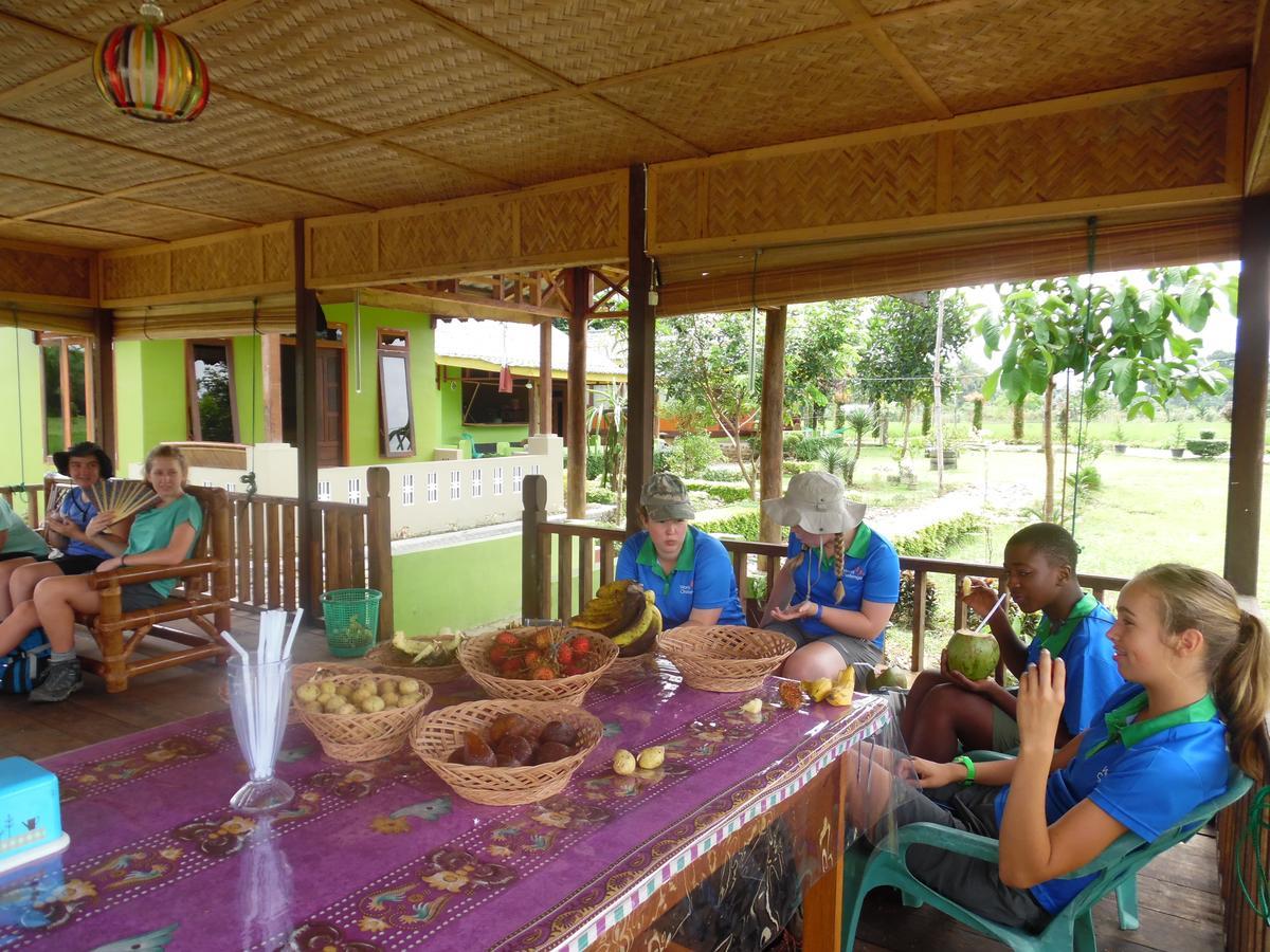 Ambow Homestay Jungle Trekking & Village Tour Bukit Lawang Kültér fotó