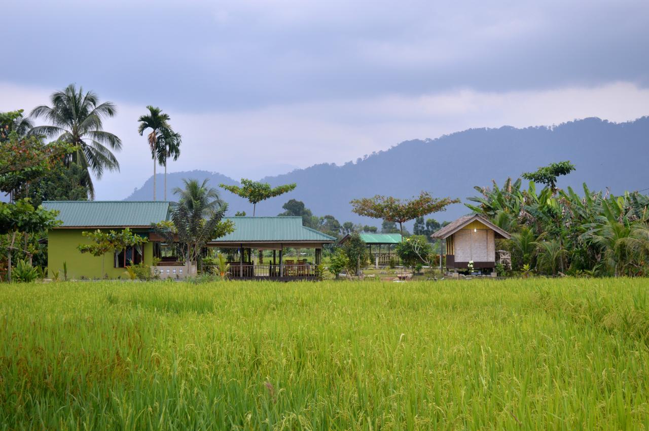 Ambow Homestay Jungle Trekking & Village Tour Bukit Lawang Kültér fotó