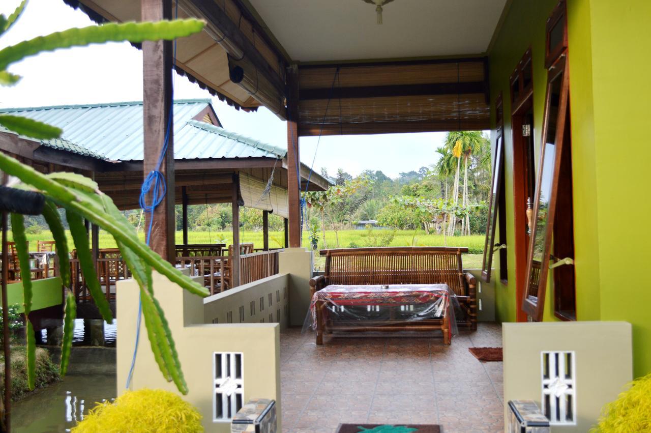 Ambow Homestay Jungle Trekking & Village Tour Bukit Lawang Kültér fotó