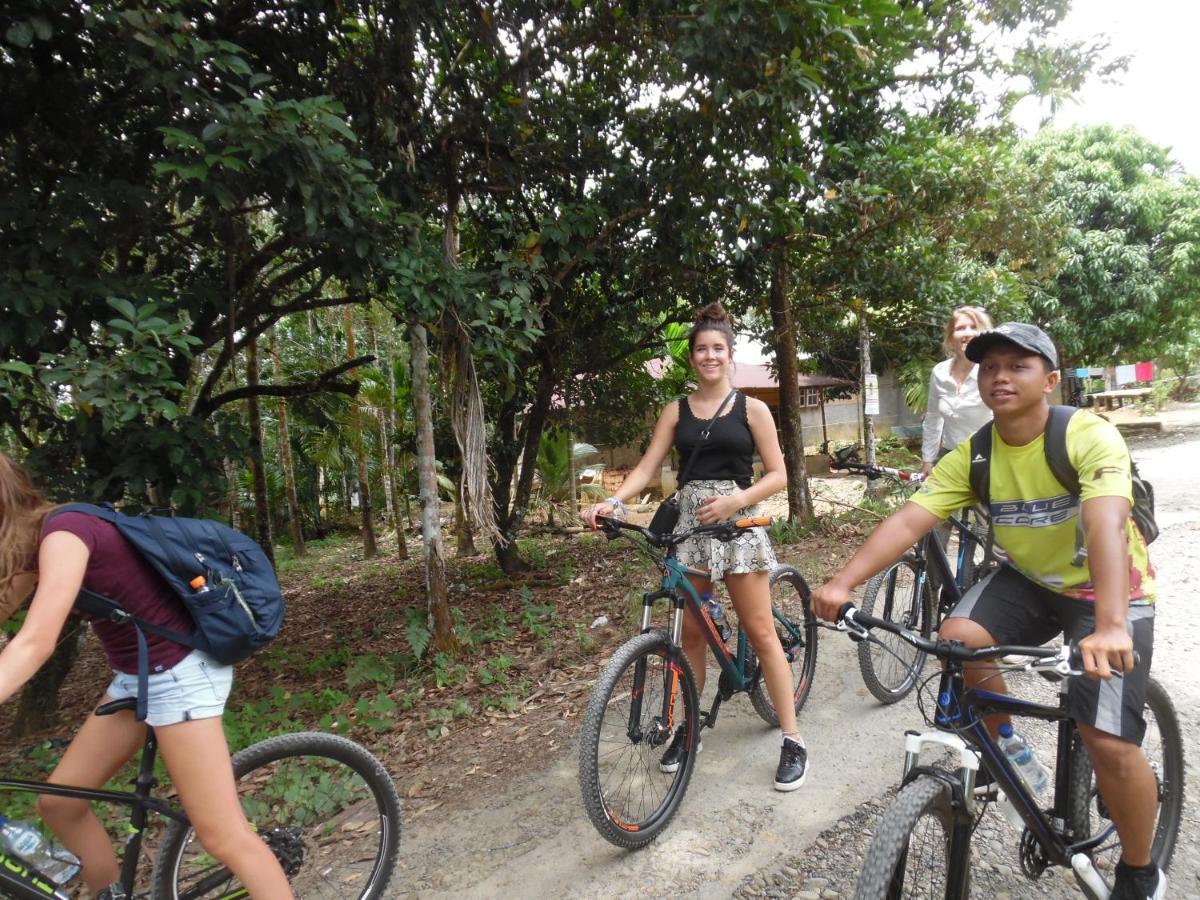 Ambow Homestay Jungle Trekking & Village Tour Bukit Lawang Kültér fotó