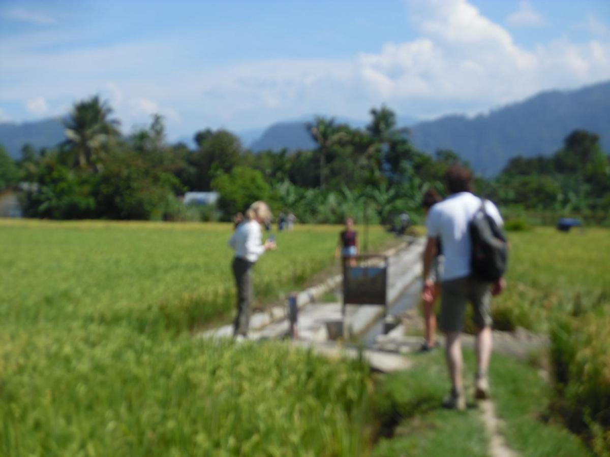 Ambow Homestay Jungle Trekking & Village Tour Bukit Lawang Kültér fotó
