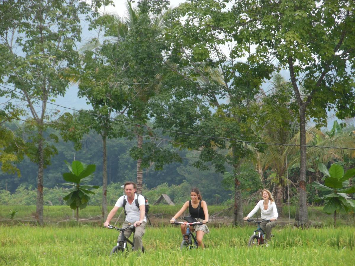Ambow Homestay Jungle Trekking & Village Tour Bukit Lawang Kültér fotó