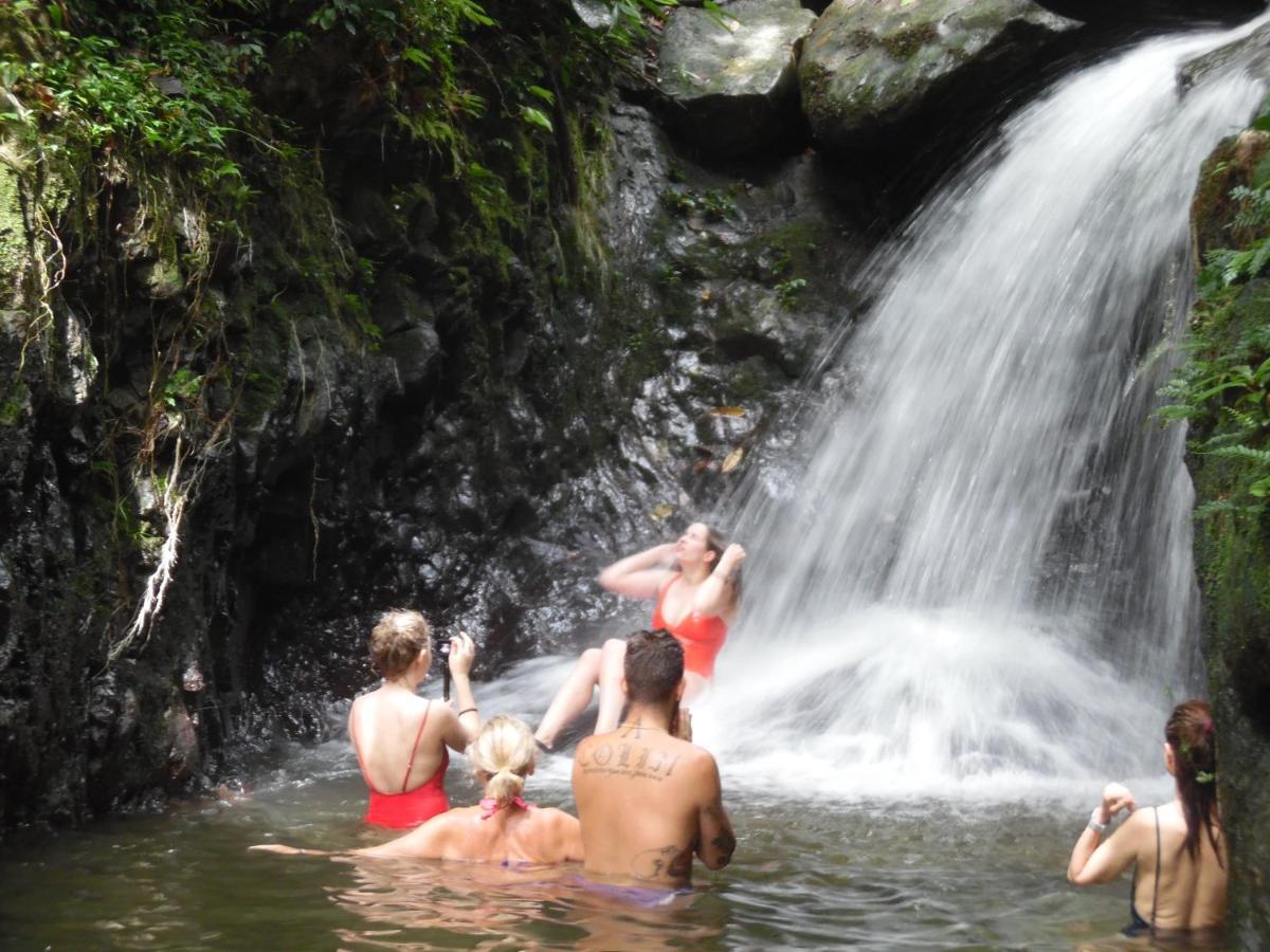 Ambow Homestay Jungle Trekking & Village Tour Bukit Lawang Kültér fotó