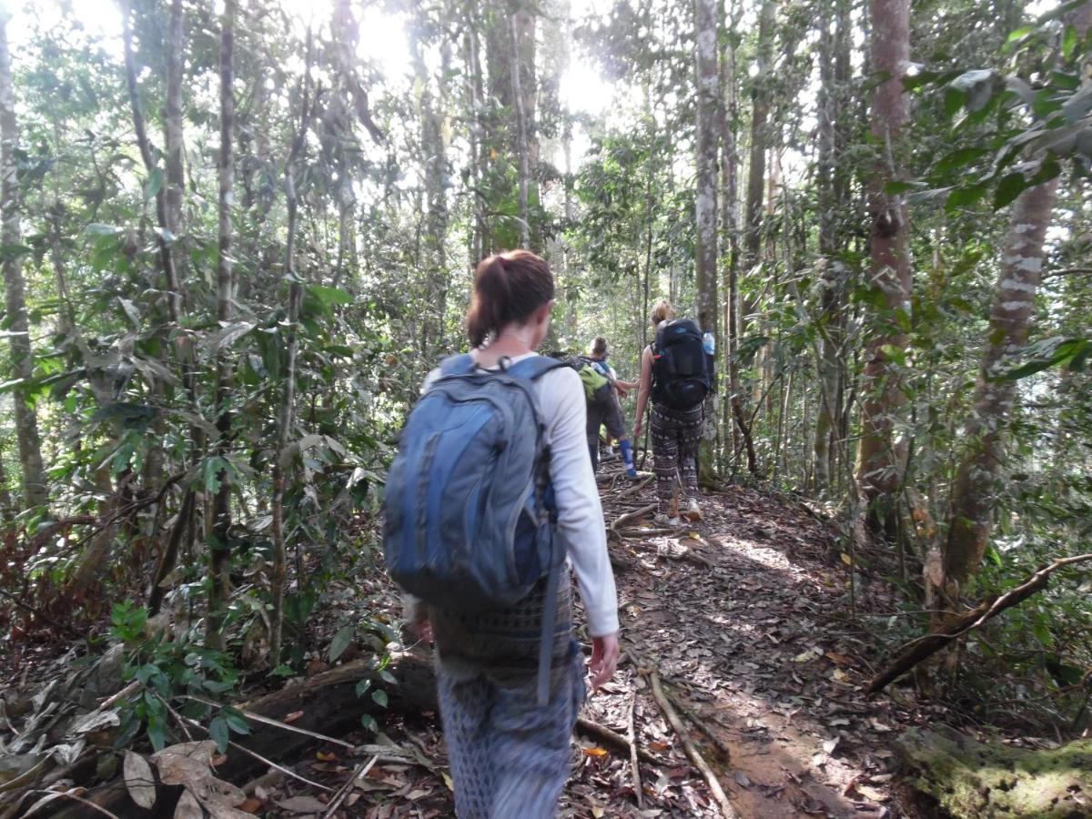 Ambow Homestay Jungle Trekking & Village Tour Bukit Lawang Kültér fotó
