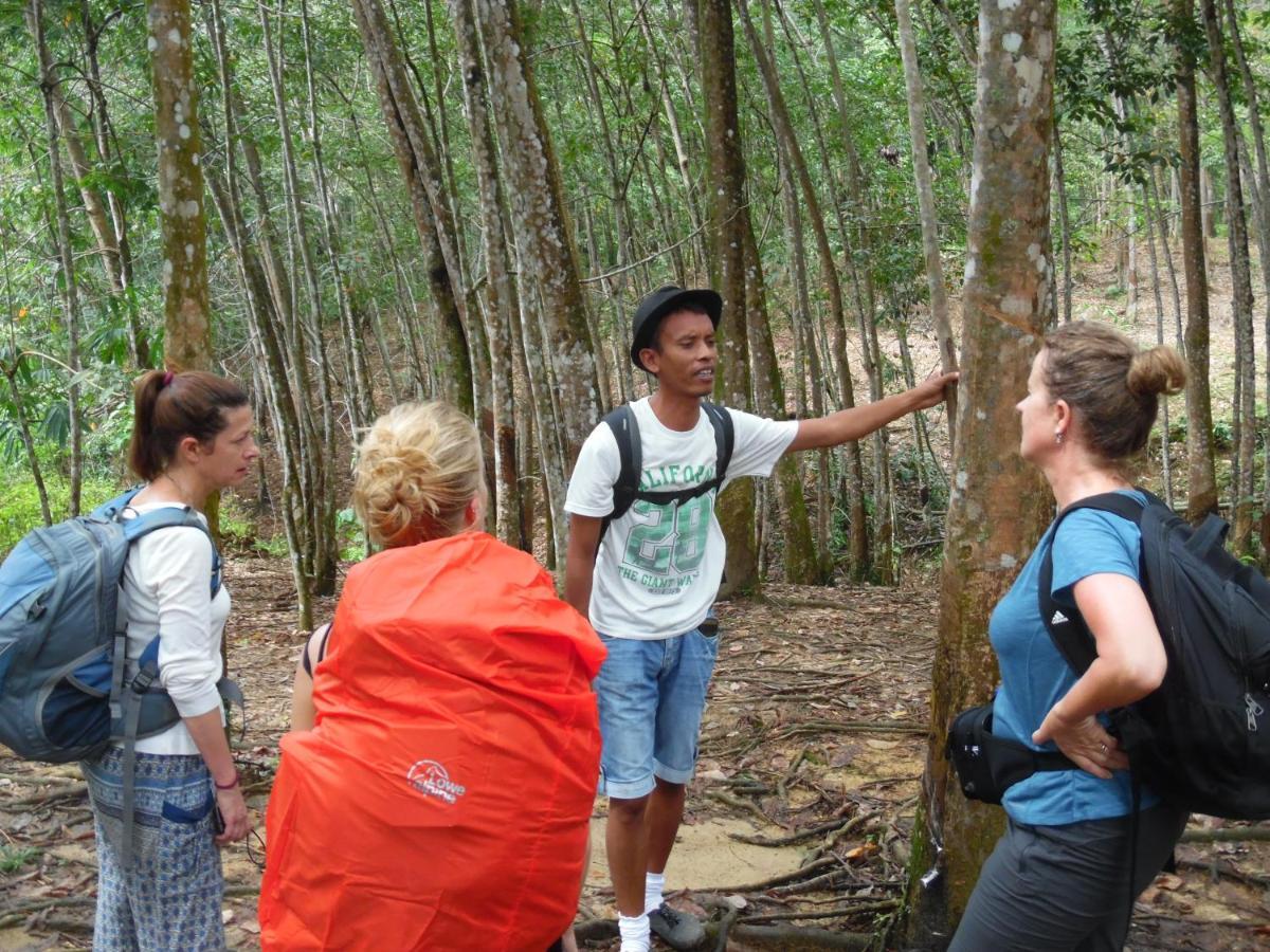 Ambow Homestay Jungle Trekking & Village Tour Bukit Lawang Kültér fotó