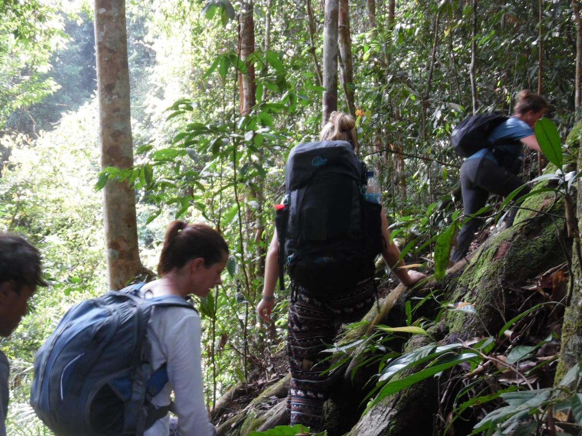 Ambow Homestay Jungle Trekking & Village Tour Bukit Lawang Kültér fotó