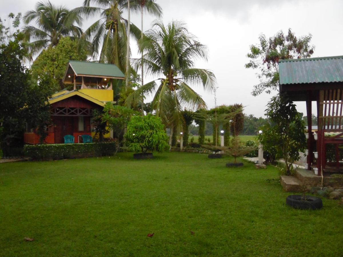 Ambow Homestay Jungle Trekking & Village Tour Bukit Lawang Kültér fotó
