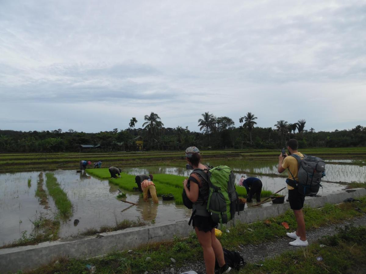 Ambow Homestay Jungle Trekking & Village Tour Bukit Lawang Kültér fotó